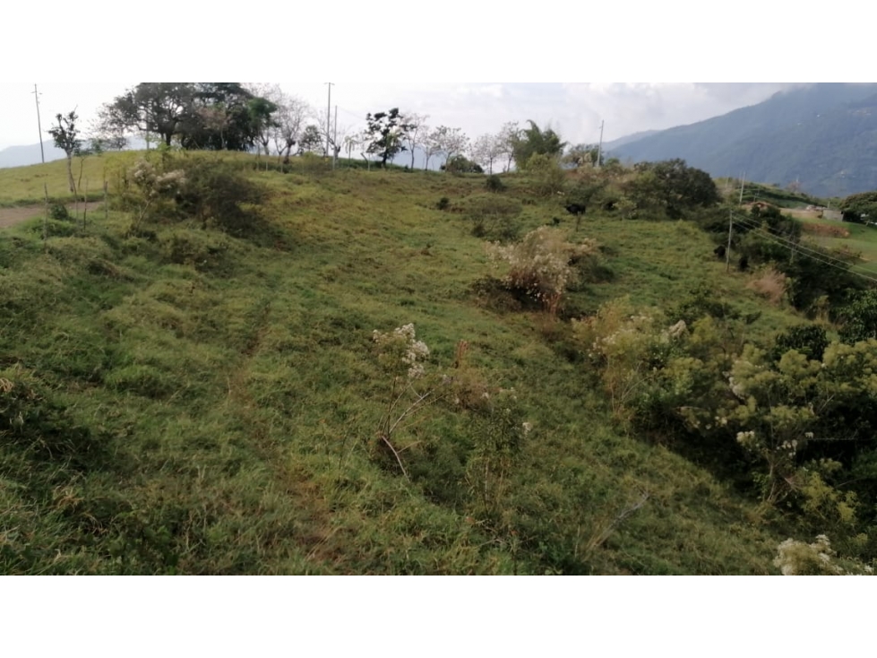 VENDO LOTE DE 6,75 CUADRAS EN VENECIA VEREDA CON VISTA A CERRO TUSA - 2