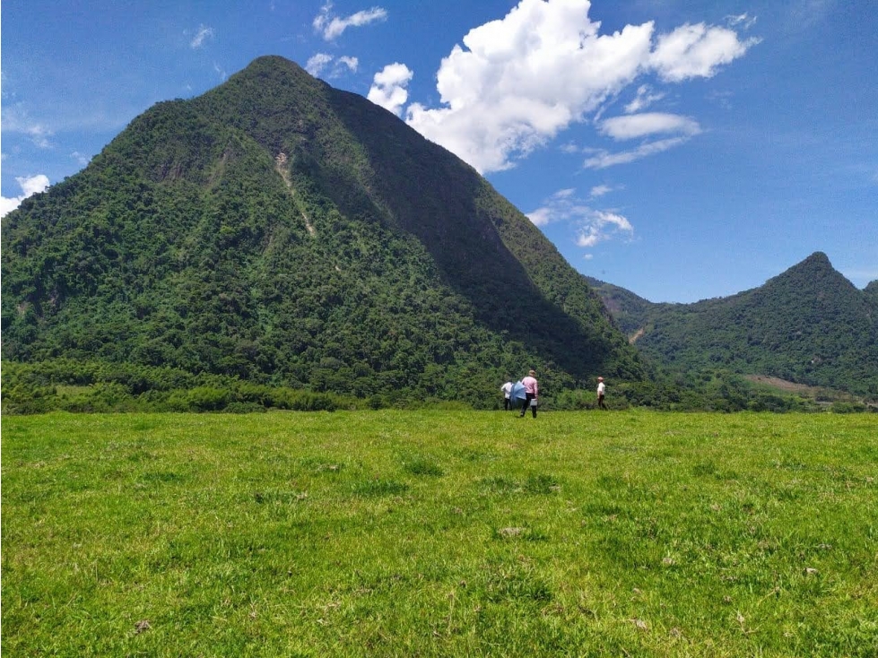 VENDO FINCA EN VENECIA SUROESTE ANTIOQUEÑO CON VISTA A CERRO TUSA - 1