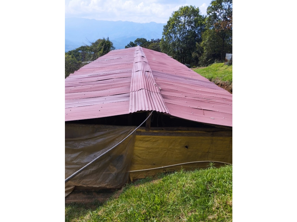 VENDO FINCA DE 9 CUADRAS CON MARRANERAS ENTRE BARBOSA Y PORCE - 2