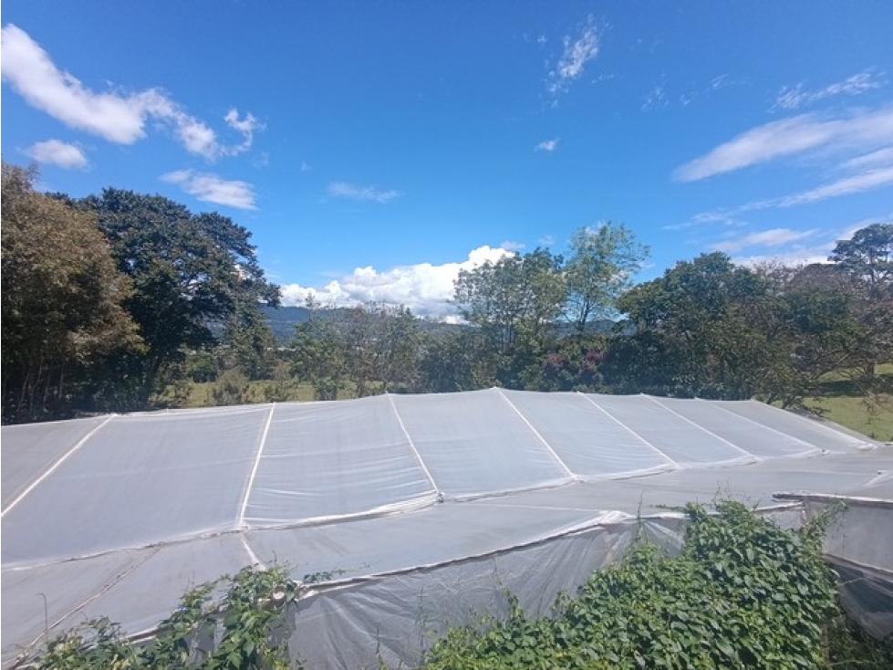VENDO FINCA EN LA VEREDA SAN NICOLÁS EN LA CEJA ANTIIOQUIA | 10.000 m² — foto 2