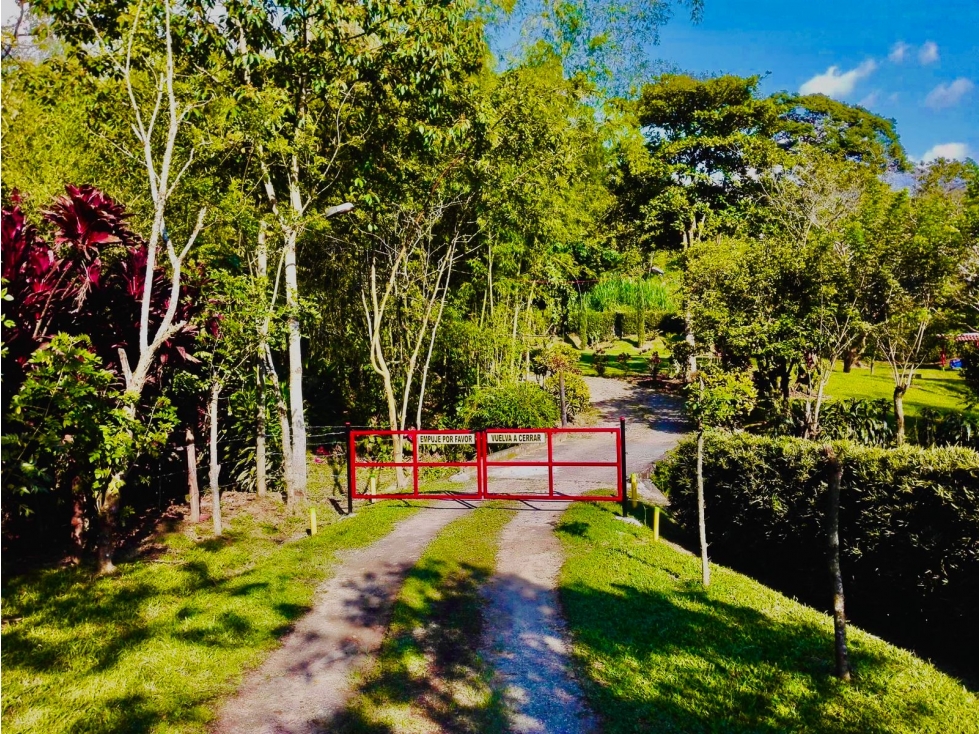 VENTA DE FINCA EN AMAGA - 6