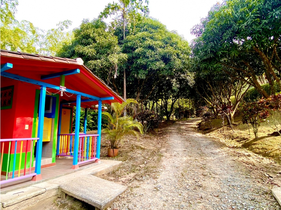 VENTA DE FINCA EN AMAGA - 3