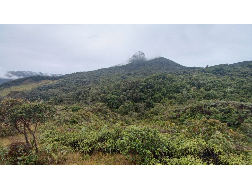 VENDO FINCA / LOTE EN SONSÓN DE 47 HECTÁREAS EN RESERVA NATURAL - 2