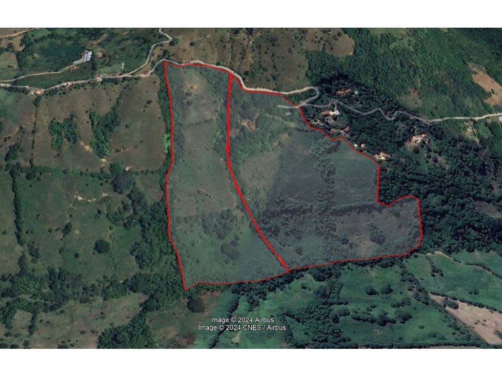 VENDO FINCA DE 30 CUADRAS EN DAMASCO PARA GANADERÍA CERCA LA PINTADA - 3