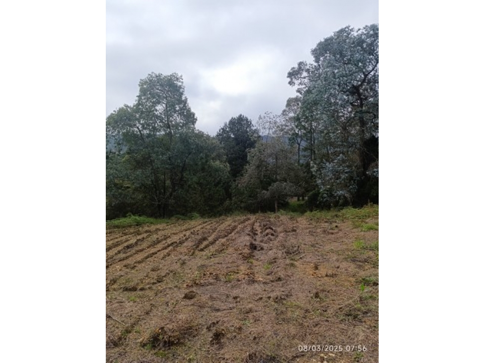 VENDO LOTE EN ENVIGADO SECTOR LA CATEDRAL DE 8.776 m² EN PARCELACIÓN — foto 3