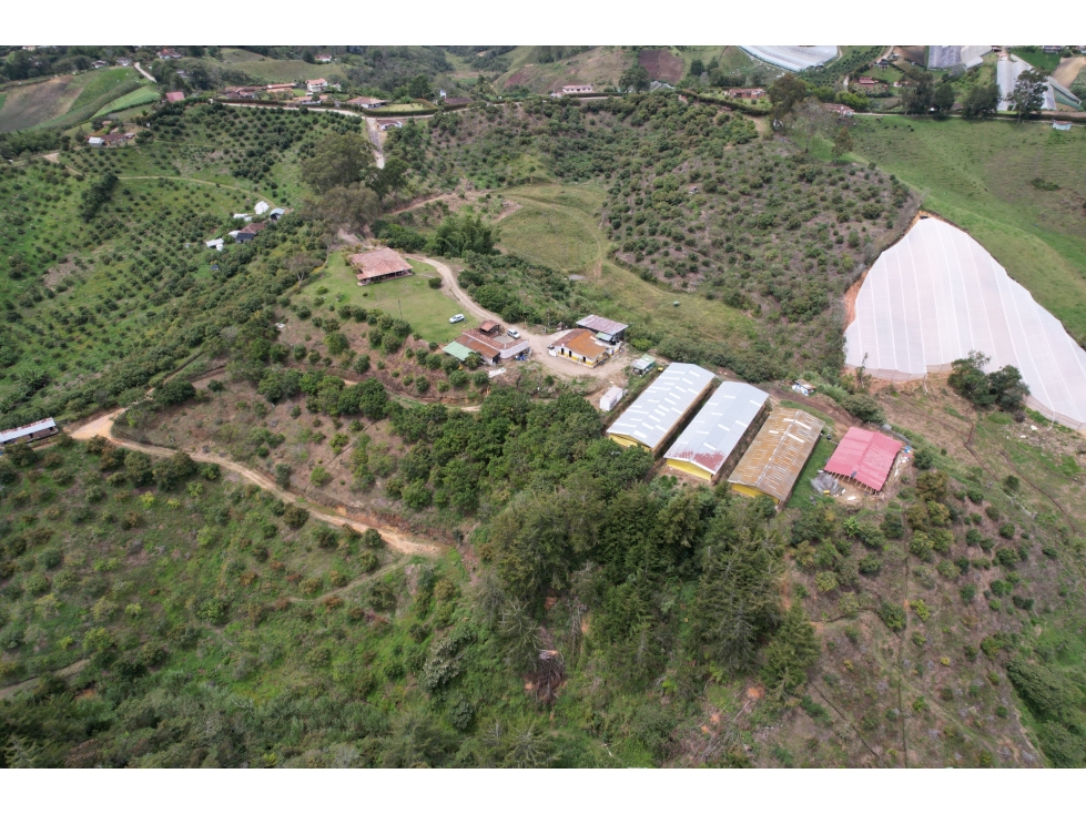 VENDO FINCA EN MARINILLA EN EL ORIENTE ANTIOQUEÑO DE 8 HECTÁREAS — foto 5