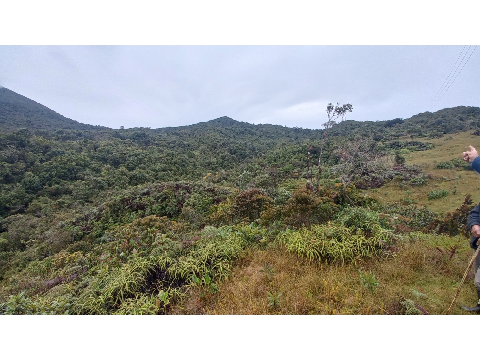 VENDO FINCA / LOTE EN SONSÓN DE 47 HECTÁREAS EN RESERVA NATURAL - 4