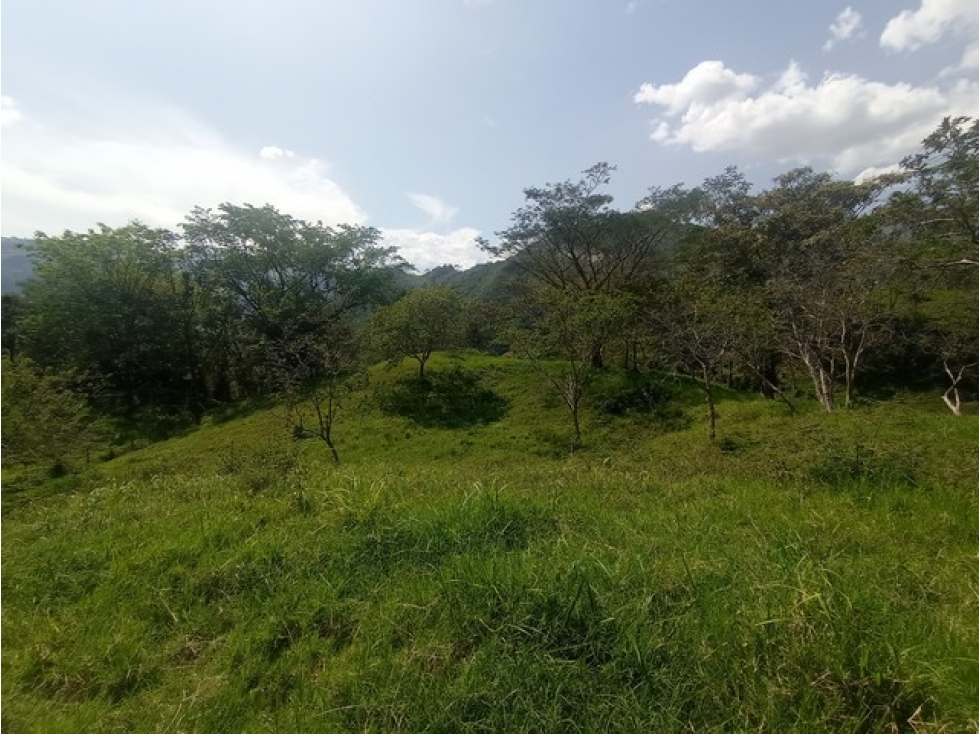 VENDO LOTES EN PARCELACIÓNLA SIRIA Y VISTA CERRO TUSA DESDE 6.800 m² - 2