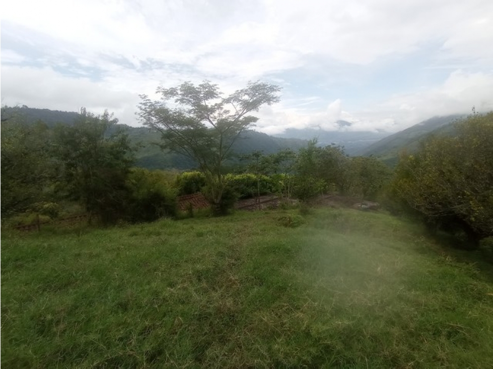 VENDO FINCA EN VENECIA DE 42 CUADRAS CON GRAN POTENCIAL PRODUCTIVO — foto 2