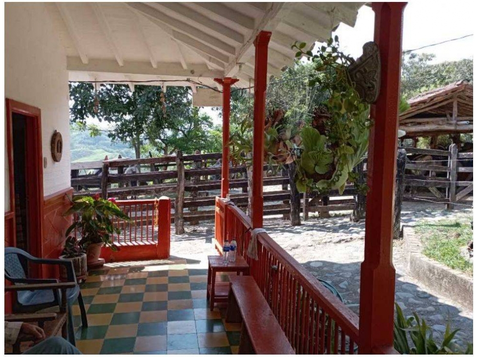 VENDO FINCA DE 30 CUADRAS PARA GANADERÍA EN LA PINTADA - 3