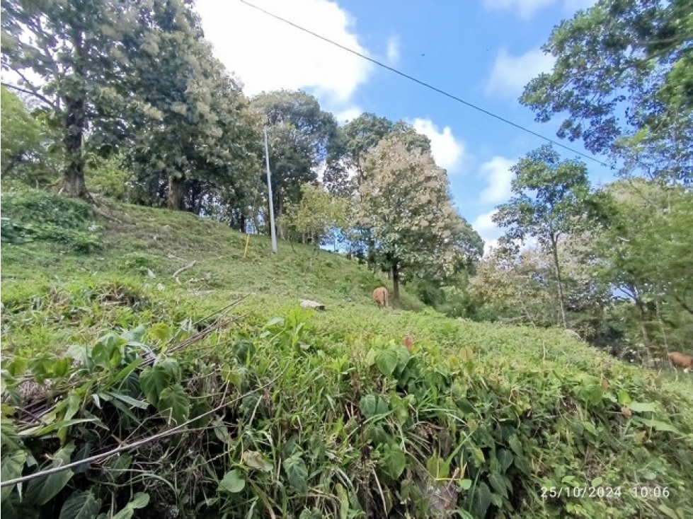 VENDO FINCA / LOTE GANADERA DE 20 CUADRAS CERCA A MARSELLA EN FREDONIA - 2