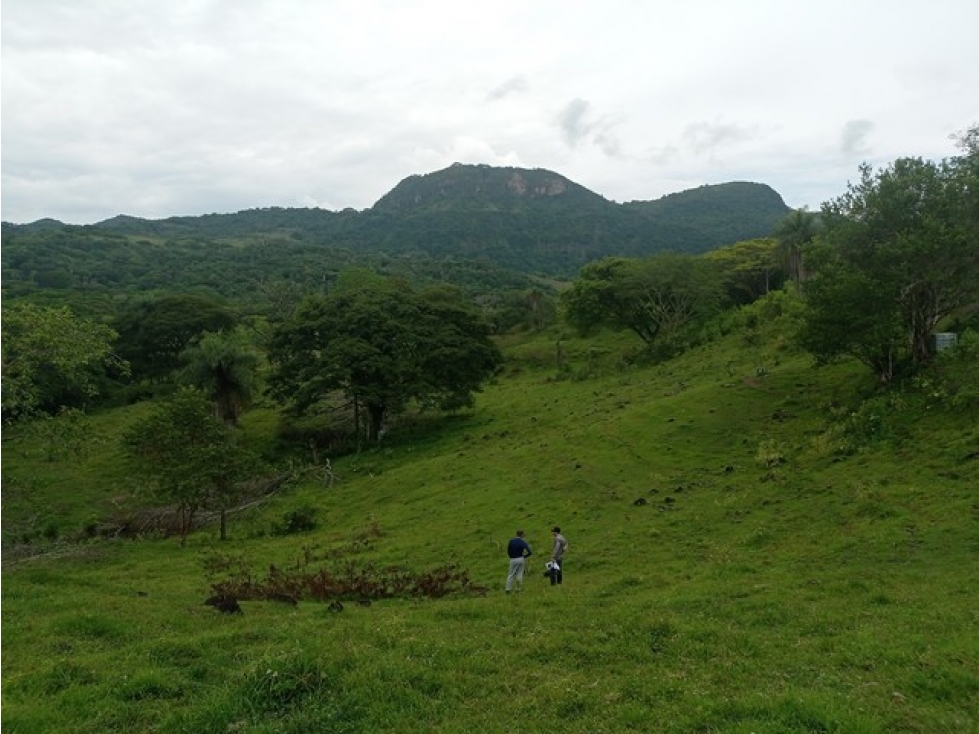VENDO LOTES EN LA PINTADA CON VISTA A FARALLONES DESDE 2.703 m² — foto 2
