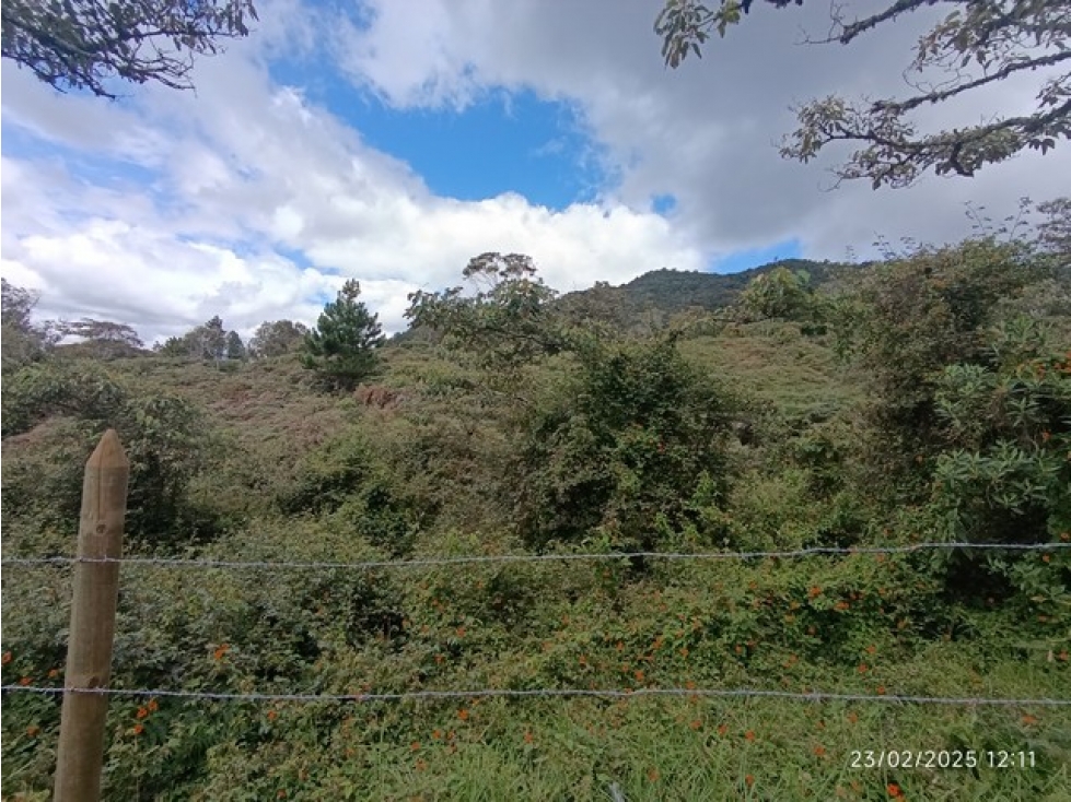 VENDO 3 LOTES C/UNO DE 10.000 m² EN LA PARCELACIÓN EL YARUMO LA CEJA — foto 3