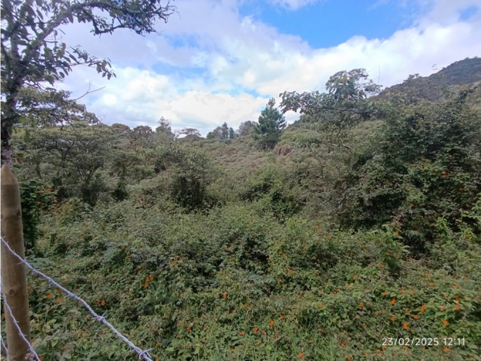 VENDO 3 LOTES C/UNO DE 10.000 m² EN LA PARCELACIÓN EL YARUMO LA CEJA — foto 4