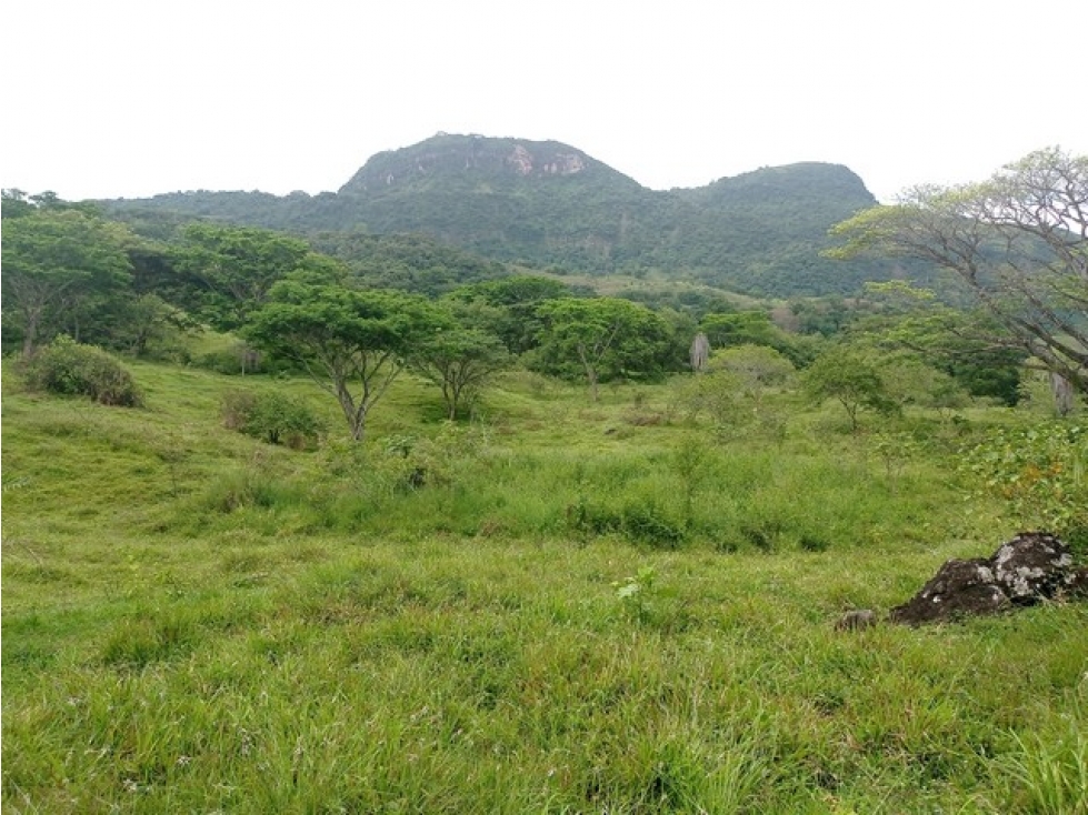 VENDO LOTES CON VISTA A FARALLONES DESDE 2.703 m² EN LA PINTADA — foto 6