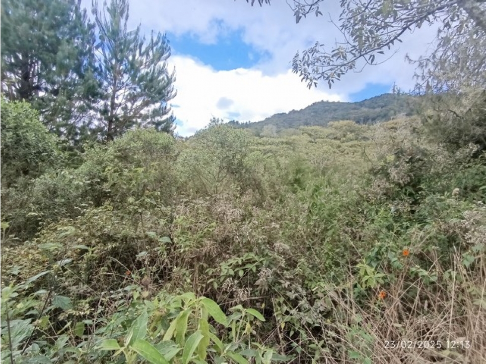 VENDO 3 LOTES C/UNO DE 10.000 m² EN LA PARCELACIÓN EL YARUMO LA CEJA — foto 5