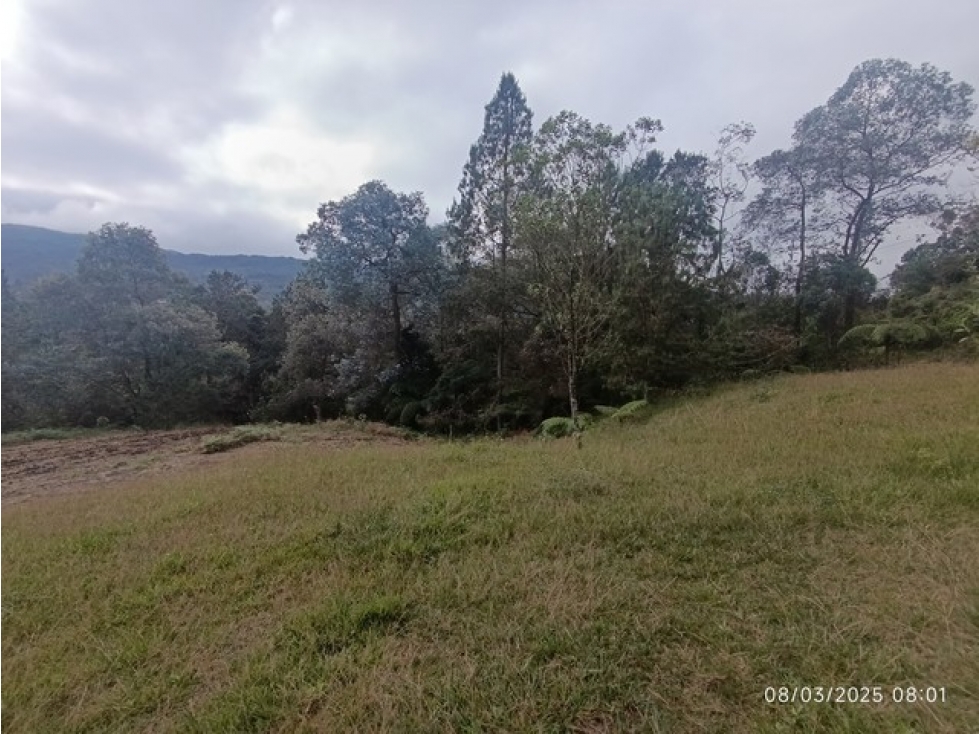 VENDO LOTE EN ENVIGADO SECTOR LA CATEDRAL DE 8.776 m² EN PARCELACIÓN — foto 4