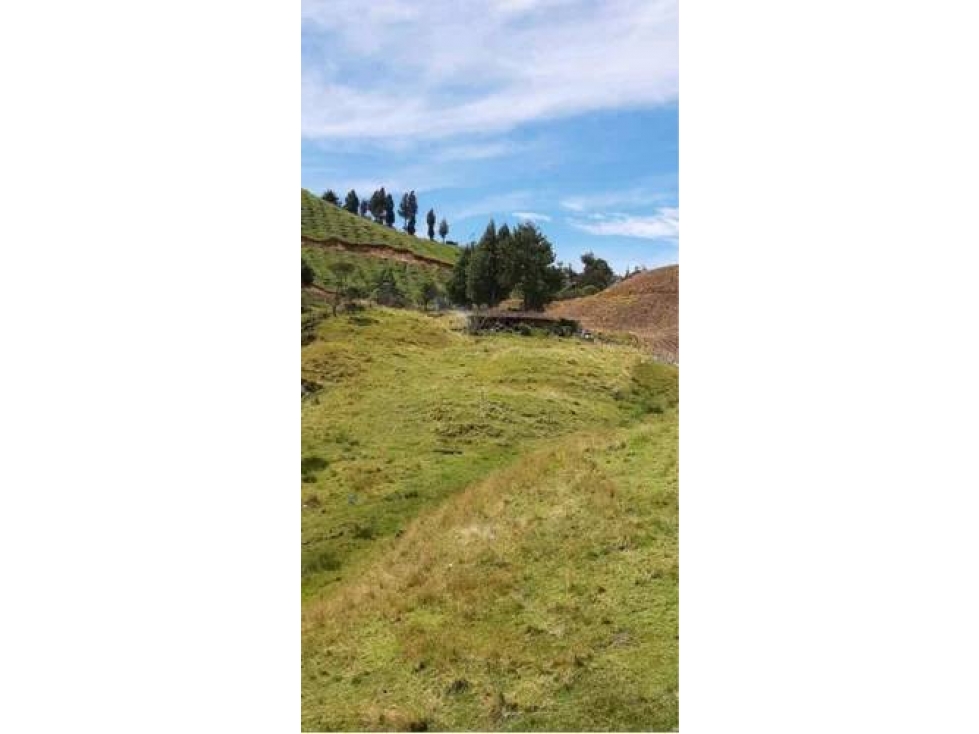 VENDO FINCA AGRÍCOLA EN SONSÓN ANTIOQUIA DE 1.87 HECTÁREAS - 6