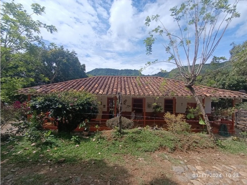 VENDO FINCA DE 30 CUADRAS EN DAMASCO PARA GANADERÍA CERCA LA PINTADA - 1