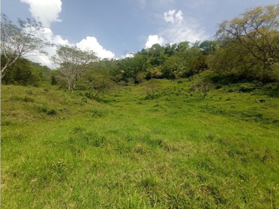 VENDO LOTES EN PARCELACIÓNLA SIRIA Y VISTA CERRO TUSA DESDE 6.800 m² - 3