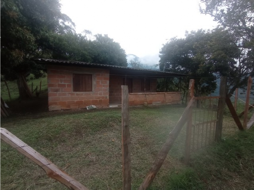 VENDO FINCA EN VENECIA DE 42 CUADRAS CON GRAN POTENCIAL PRODUCTIVO — foto 6