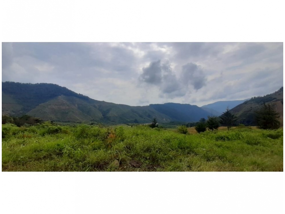 VENDO FINCA EN SALGAR ANTIOQUIA DE 2.000 HA CON BOSQUE PARA CULTIVOS - 4