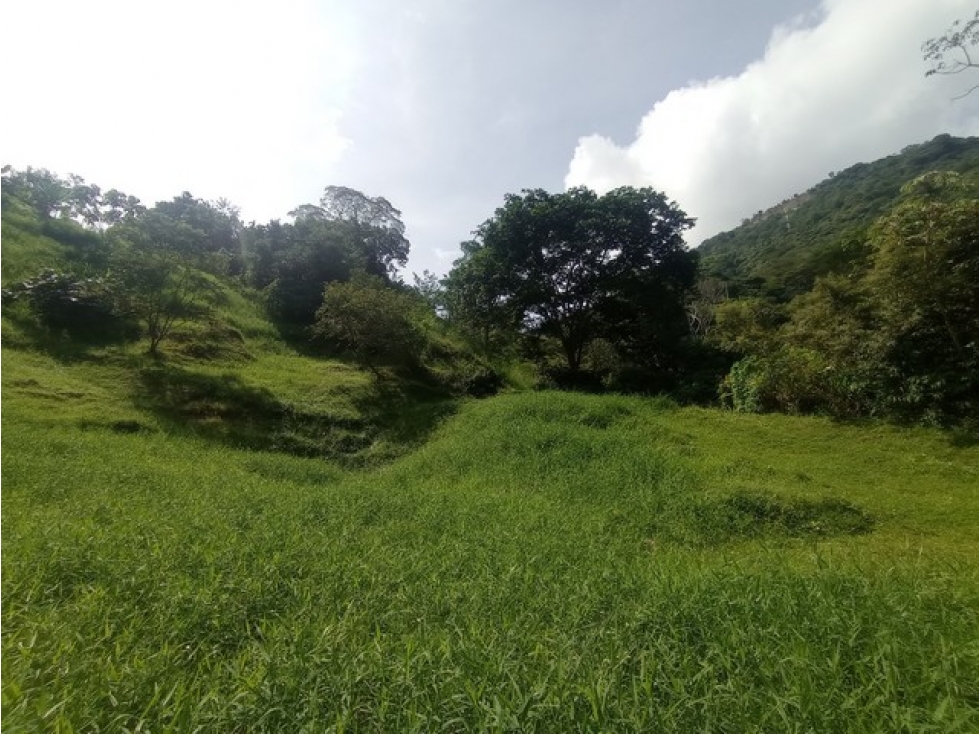 VENDO LOTE DE 5.270 m² EN LA PARCELACIÓN LA PALMICHALA EN TITIRIBÍ - 3