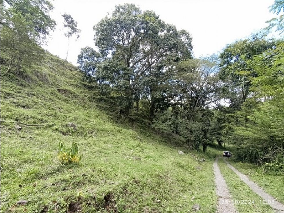 VENDO FINCA / LOTE GANADERA DE 20 CUADRAS CERCA A MARSELLA EN FREDONIA - 3