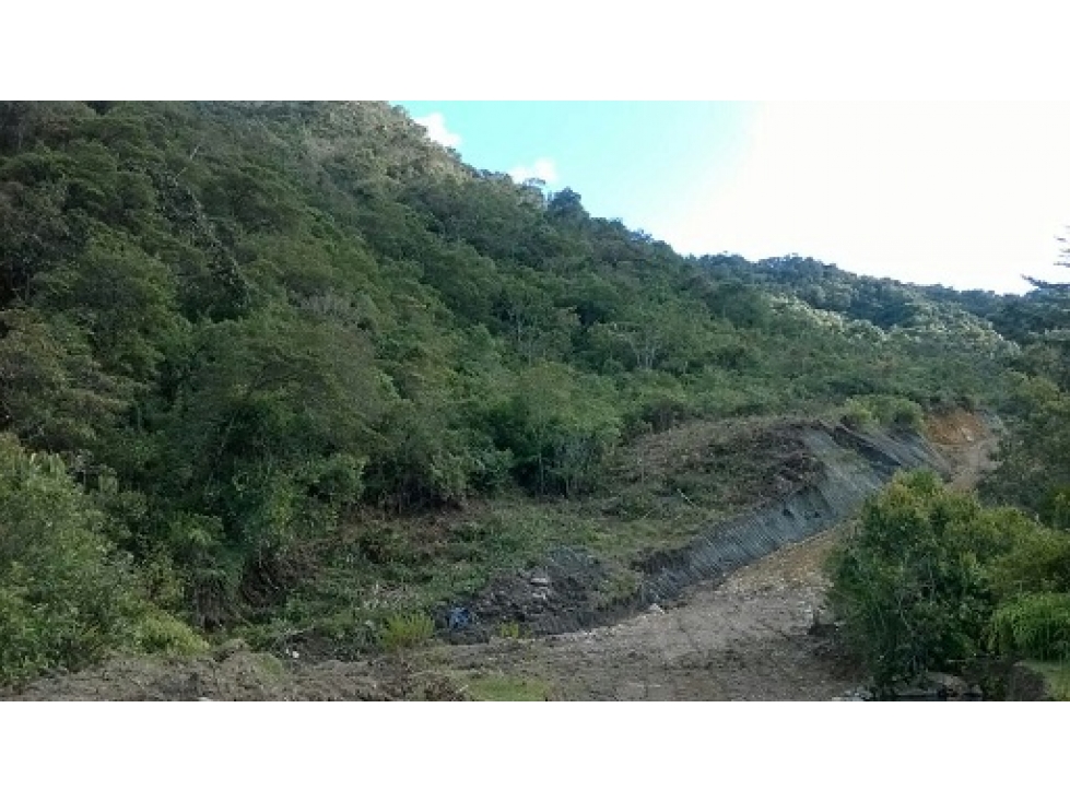 VENDO FINCA / LOTE DE 15 HECTÁREAS DE BOSQUE EN EL CARMEN DE VIBORAL — foto 2