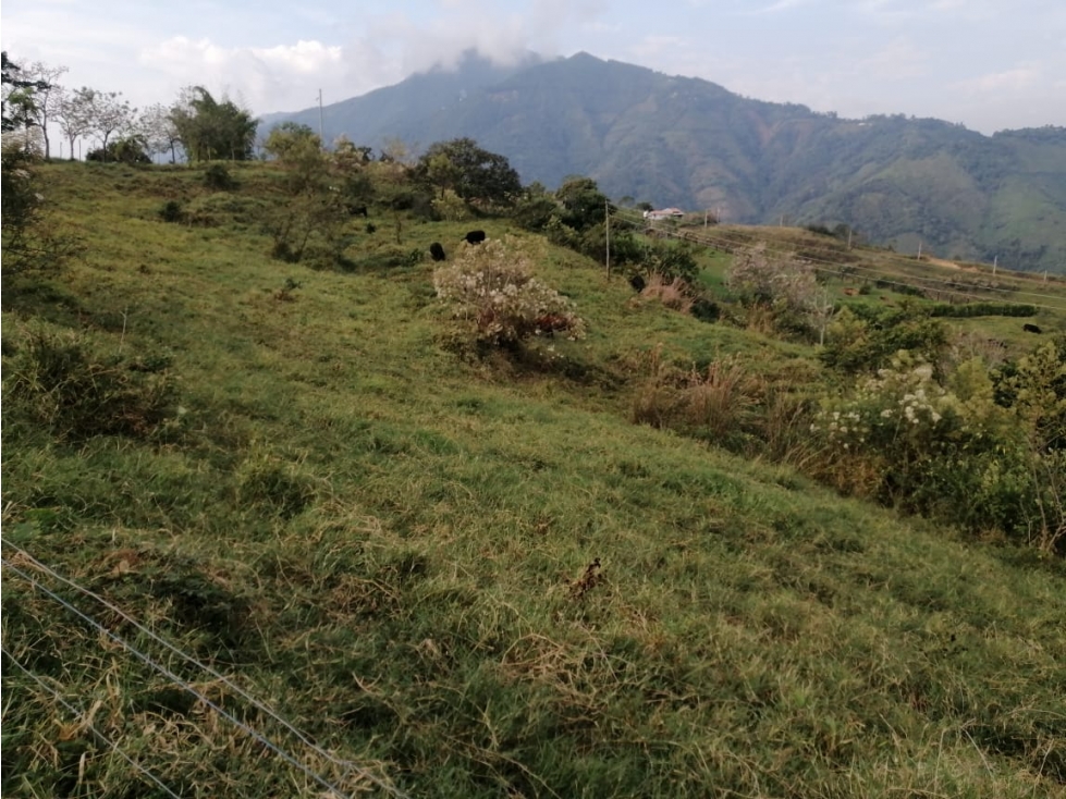 VENDO LOTE DE 6,75 CUADRAS EN VENECIA VEREDA CON VISTA A CERRO TUSA - 3