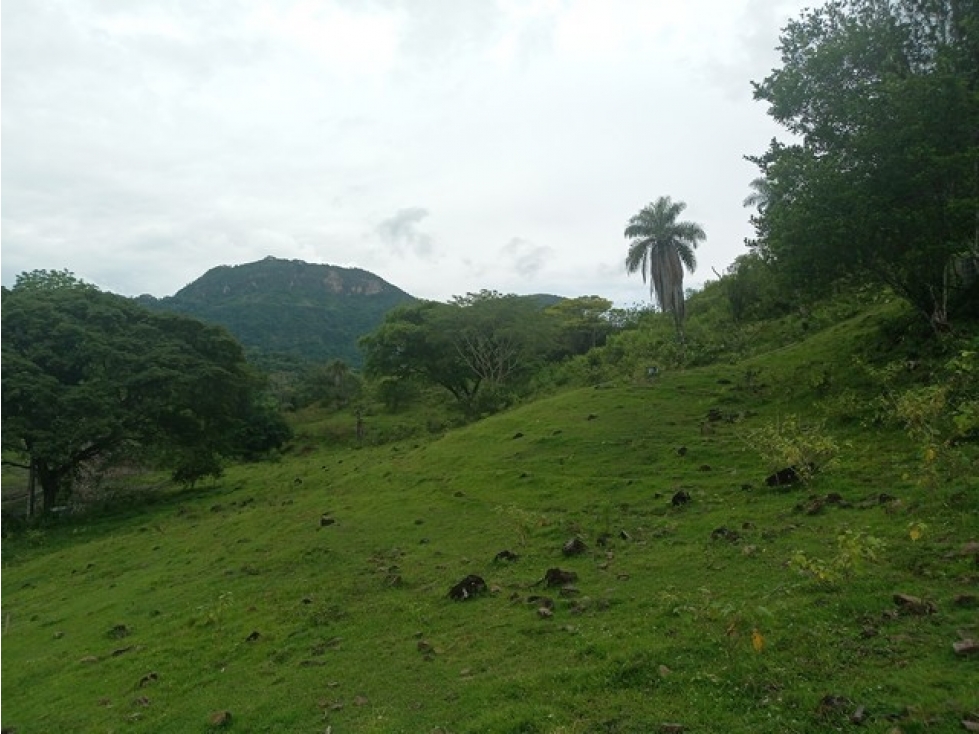 VENDO LOTES EN LA PINTADA CON VISTA A FARALLONES DESDE 2.703 m² — foto 5