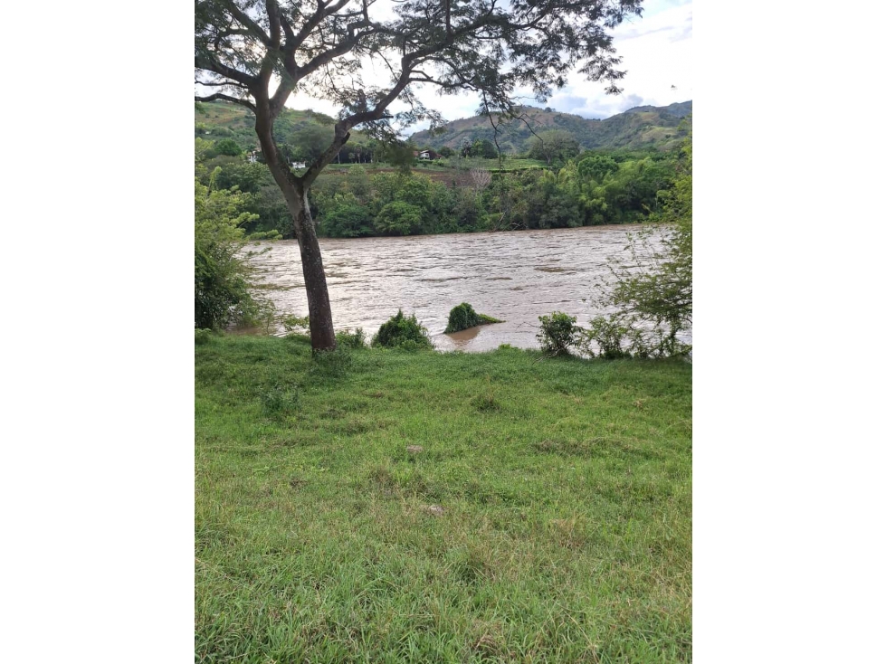 VENDO FINCA LOTE EN BOLOMBOLO VENECIA SUROESTE ANTIOQUEÑO 40 CUADRAS — foto 6