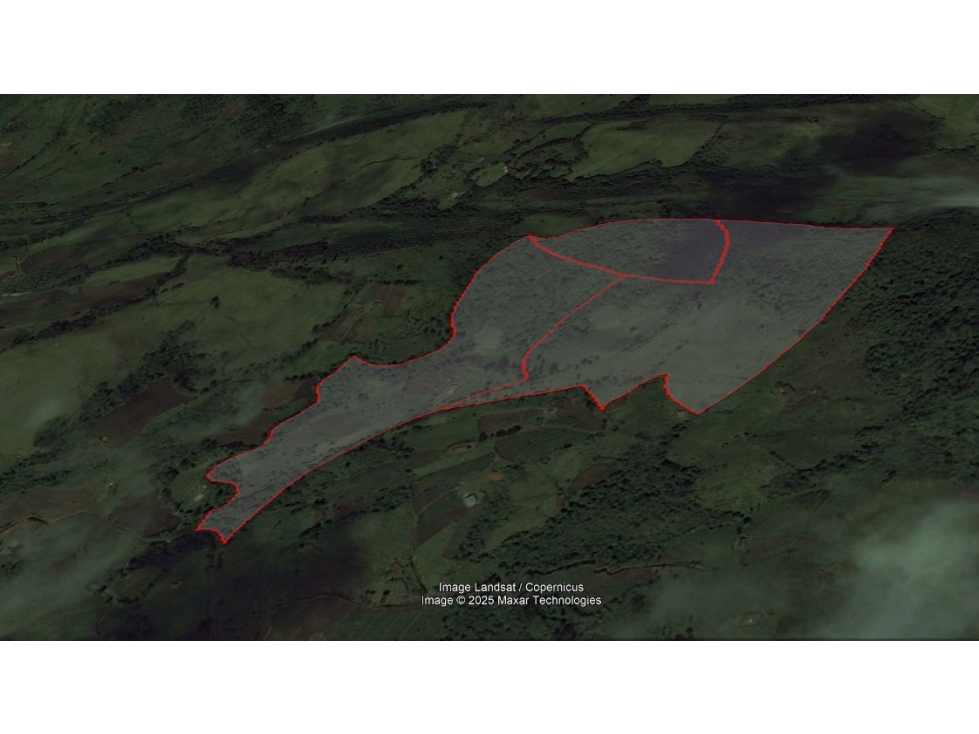 VENDO FINCA EN SONSÓN DE 14 Ha MULTIPROPÓSITO CON AGUACATE HASS - 3