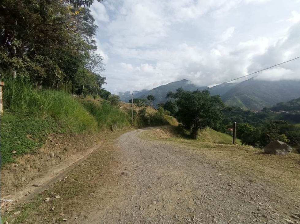 VENDO LOTE DE 5.270 m² EN LA PARCELACIÓN LA PALMICHALA EN TITIRIBÍ - 4