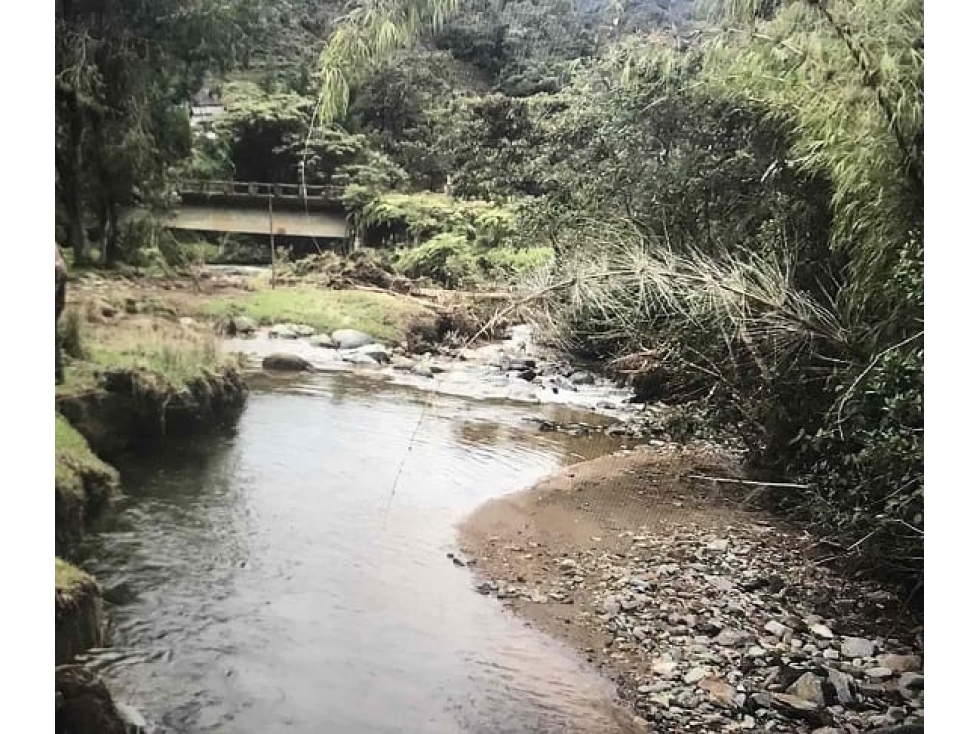 VENDO FINCA / LOTE DE 15 HECTÁREAS DE BOSQUE EN EL CARMEN DE VIBORAL — foto 6