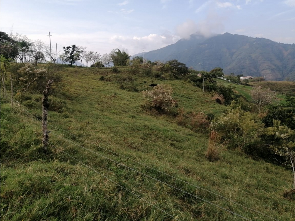 VENDO LOTE DE 6,75 CUADRAS EN VENECIA VEREDA CON VISTA A CERRO TUSA - 4