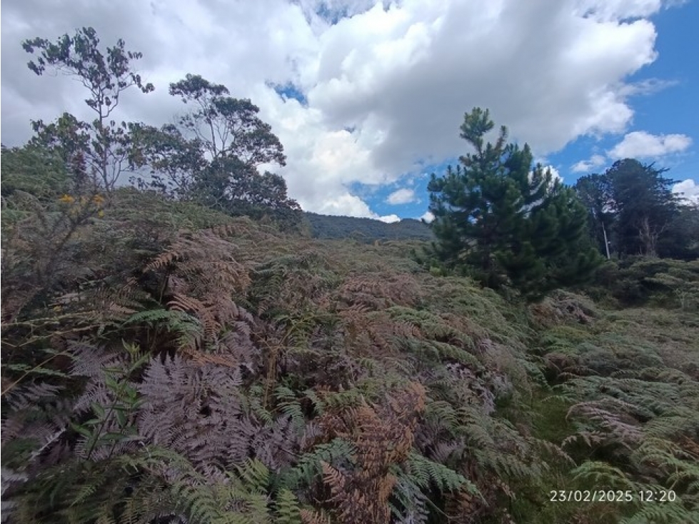 VENDO LOTE DE 10.000 m² EN PARCELACIÓN EL YARUMO EN LA CEJA ANTIOQUIA — foto 5