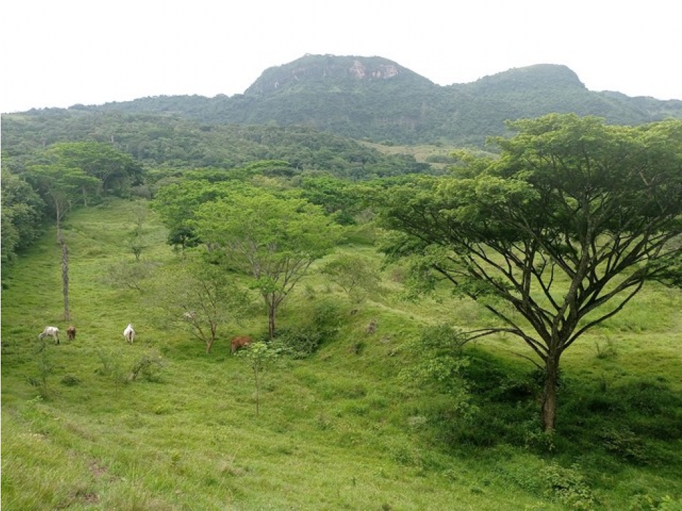 VENDO LOTES EN LA PINTADA CON VISTA A FARALLONES DESDE 2.703 m² — foto 6