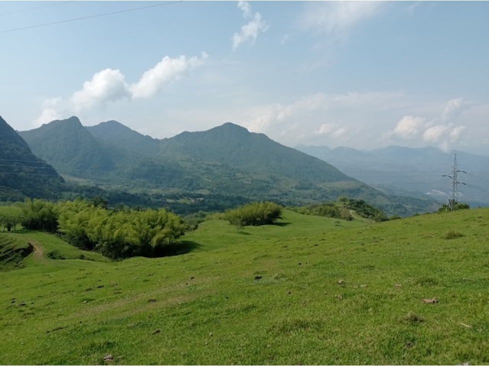 VENDO FINCA EN VENECIA SUROESTE ANTIOQUEÑO CON VISTA A CERRO TUSA - 4
