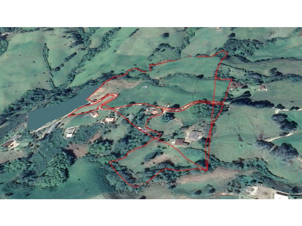 VENDO FINCA DE 15 CUADRAS EN FREDONIA PARA CULTIVO Y/O GANADERÍA - 2