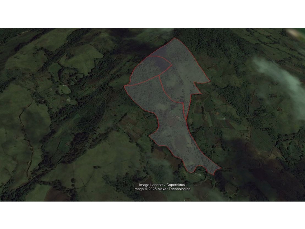 VENDO FINCA EN SONSÓN DE 14 Ha MULTIPROPÓSITO CON AGUACATE HASS - 6