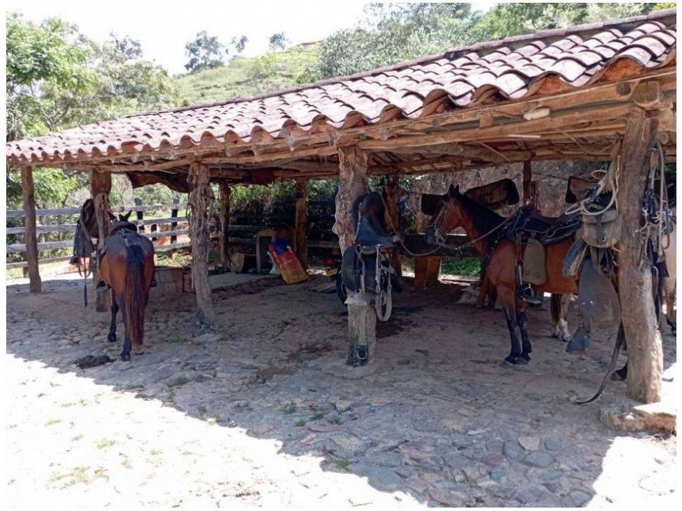 VENDO FINCA DE 30 CUADRAS PARA GANADERÍA EN LA PINTADA - 2