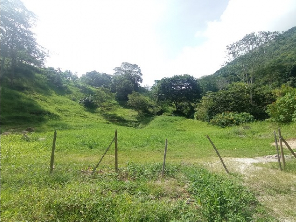 VENDO LOTE DE 5.270 m² EN LA PARCELACIÓN LA PALMICHALA EN TITIRIBÍ - 5