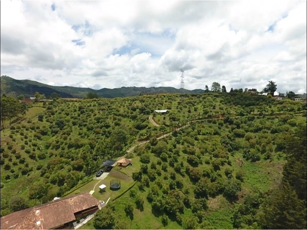 VENDO FINCA DE 62.700 m² PARA CULTIVOS SAN VICENTE FERRER ANTIOQUIA — foto 5