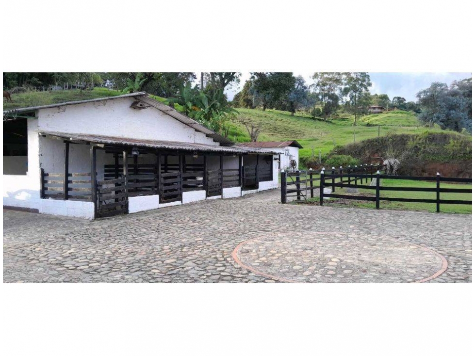 VENDO FINCA DE 15 CUADRAS EN FREDONIA PARA CULTIVO Y/O GANADERÍA - 6