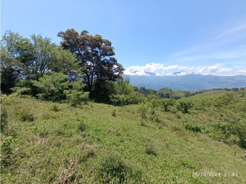 VENDO 5 LOTES DE 19 CUADRAS CADA UNO CERCA A MARSELLA EN FREDONIA - 5