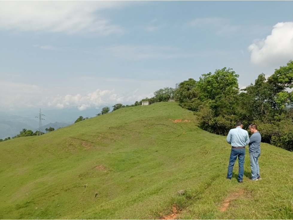 VENDO FINCA EN VENECIA SUROESTE ANTIOQUEÑO CON VISTA A CERRO TUSA - 5