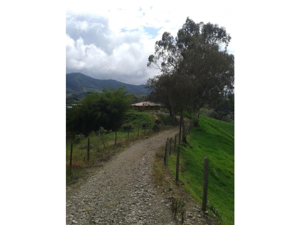 VENDO FINCA EN MARINILLA EN EL ORIENTE ANTIOQUEÑO DE 8 HECTÁREAS — foto 3