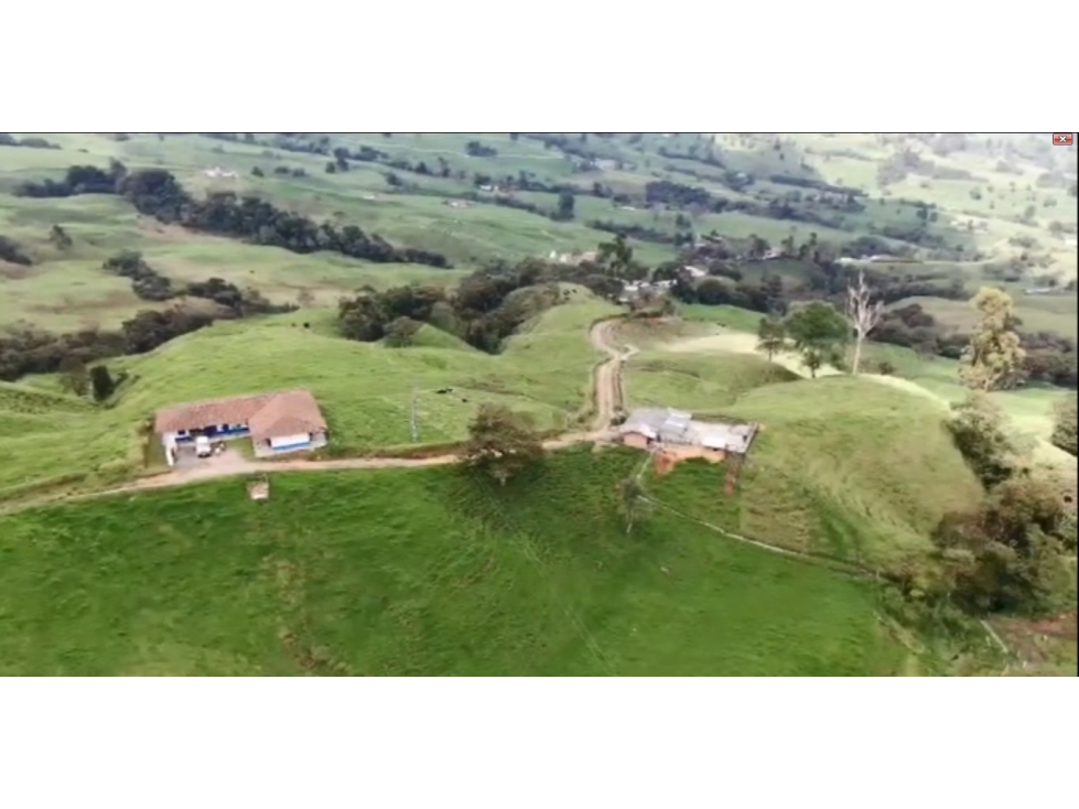 VENDO FINCA LECHERA DE 20 CUADRAS EN SAN FELIX A 4,5 KM DE LA VÍA PPAL — foto 3