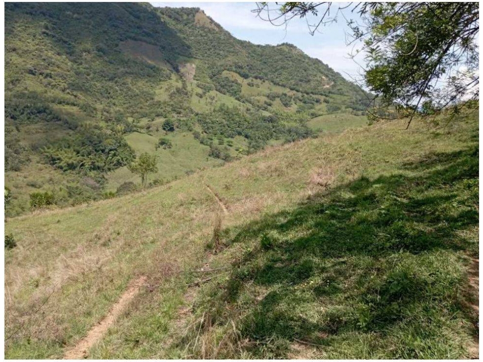 VENDO FINCA DE 30 CUADRAS PARA GANADERÍA EN LA PINTADA - 6